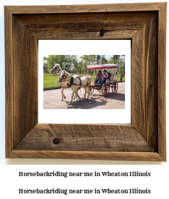 horseback riding near me in Wheaton, Illinois